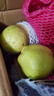 四海上品甘肅早酥梨脆甜當季新鮮水果孕婦青皮梨子皮薄清甜多汁時(shí)令陜西 早酥梨 大果9斤 曬單實(shí)拍圖