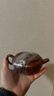 藏壺天下宜興紫砂壺純手工刻繪紫砂茶具單壺原礦龍血砂茶壺泡茶家用桑扁壺 竹 210ml 曬單實(shí)拍圖