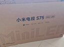 小米（MI）電視S75 Mini LED 【銷(xiāo)量10萬(wàn)+】75英寸 240Hz高刷 512分區 1200nits峰值亮度 L75MA-SPL 曬單實(shí)拍圖