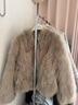 MSBEAST野獸小姐 進(jìn)口藍狐坎毛暈染色V領(lǐng)短款狐貍毛皮草外套女丨霜華映月 月光灰 M 曬單實(shí)拍圖