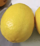 優(yōu)味集進(jìn)口新奇士檸檬【JD順豐現貨速發(fā)】新鮮南非黃檸檬生鮮水果整箱 2斤 商超S+級大果（單果150g+） 曬單實(shí)拍圖