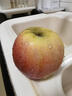 南步豐縣大沙河紅富士蘋(píng)果 徐州特產(chǎn)冰糖心脆甜野生丑蘋(píng)果新鮮水果 9斤 精選中果【約16-18個(gè)】 曬單實(shí)拍圖