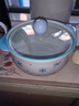 2025新款雪花泡面碗帶蓋勺筷少女心治愈系大容量學(xué)生宿舍螺螄粉碗 【初雪藍】--6英寸泡面碗 【兩件套】 面碗+蓋 曬單實(shí)拍圖