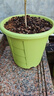 牧狼人透氣花盆家用三代青山盆樹(shù)脂塑料大號陽(yáng)臺戶(hù)外庭院控根花盆 【草綠色】不帶托盤(pán) 280# 4個(gè)盆（超級推薦） 曬單實(shí)拍圖
