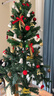 酷依寶 圣誕樹(shù)1.5米加密豪華家用商場(chǎng)平安樹(shù)彩燈發(fā)光擺件新年場(chǎng)景布置 曬單實(shí)拍圖