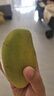 集年鮮芒果當季熱帶甜心多汁 新鮮青皮金煌芒果水生鮮果整箱節日送禮 凈重9斤優(yōu)選果 曬單實(shí)拍圖