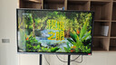 JAV 55英寸AI教育教學(xué)一體機多媒體學(xué)習機會(huì )議平板電視觸控屏幼兒園學(xué)生多功能電子白板智慧LED55J179 曬單實(shí)拍圖