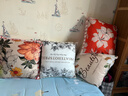 輕奢抱枕沙發(fā)客廳床頭靠墊套歐式抱枕套60x60大枕頭超大網(wǎng)紅靠枕 讓花成花抱枕 50*50cm雙面枕套+枕芯 曬單實(shí)拍圖