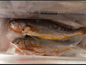 海名威 冷凍寧德三去黃花魚(yú)600g/2條 大黃魚(yú) 生鮮魚(yú)類(lèi) 海鮮水產(chǎn) 年貨節 曬單實(shí)拍圖