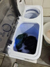 揚子集團洗衣機半自動(dòng)大容量家用雙桶雙缸洗衣機脫水雙筒 19.5公斤【洗12KG+脫7.5KG】藍光風(fēng)干 曬單實(shí)拍圖