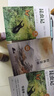 萬(wàn)物復書(shū)26寒八年級 經(jīng)典常談豐子愷插畫(huà)版 昆蟲(chóng)記導讀精注版 汪曾祺散文名家插圖版 杜甫傳中華名人故事 自然物語(yǔ)精編修訂版全兩冊贈導讀單c  《經(jīng)典常談》 《昆蟲(chóng)記》贈導讀單 曬單實(shí)拍圖