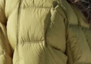 三彩【防水易打理】2025冬季新款棒球羽絨服白鴨絨泡芙外套 芥末綠 XL 170/92A 曬單實(shí)拍圖