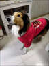 TMJD MISS大狗新年喜慶衣服秋冬款加絨加厚金毛紅色拉布拉多德牧中大型犬 八方來(lái)財狗狗衛衣 M碼【建議體重40-50斤】 曬單實(shí)拍圖