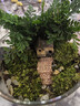 八芽趣味鮮活苔蘚微型景觀(guān)創(chuàng  )意室內桌面生態(tài)綠植盆栽盆景懶人好養植物 山野人家 帶玻璃杯 曬單實(shí)拍圖