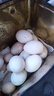 東北農家散養新鮮特大200克土鵝蛋孕婦大鵝蛋正宗農家自養鵝蛋 100克到128克（十二枚）約2.76斤 曬單實(shí)拍圖