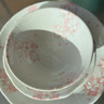 陶趣居日式盤(pán)子日本制造櫻花餐具套裝碗盤(pán)3D櫻花雨面設計陶瓷套裝間取櫻 6.6英寸缽 曬單實(shí)拍圖