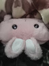 ?國標防爆?可愛(ài)毛絨電熱水袋充電卡通暖手寶熱敷生日禮物女生 奶黃鴨鴨【仿兔絨-智能斷電+國標防爆】 27*30 曬單實(shí)拍圖