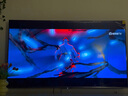 東芝電視75Z500QF 75英寸 Mini LED控光 144Hz 3+128GB 火箭炮音響 4K超清 以舊換新家電國家補貼 曬單實(shí)拍圖