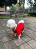 JCZS德國品牌小狗狗衣服冬裝新年絨衣加厚保暖小型犬比熊雪納瑞泰迪寵 新年紅運暖暖絨衣 【四腳全包全身保暖】 S背長(cháng)20cm(按照背長(cháng)購買(mǎi)/參考體重2.5-4斤 曬單實(shí)拍圖