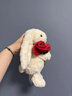 Jellycat英國害羞邦尼兔毛絨玩具兒童玩偶安撫抱枕娃娃潮玩公仔女生日禮物 懷抱玫瑰邦尼兔23CM【贈送禮盒】 代寫(xiě)賀卡聯(lián)系客服 曬單實(shí)拍圖