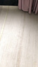 纖蘇（qiansu）入戶(hù)地墊比利絨輕奢簡(jiǎn)約現代風(fēng)家用玄關(guān)門(mén)口客廳地毯子可裁剪定制 序言 140cm*160cm 曬單實(shí)拍圖