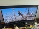 泰坦軍團31.5英寸2K 240Hz 1500R曲面屏 HDR廣色域 HVA快速液晶 A-Sync技術(shù) 支持壁掛電腦電競顯示器C32A1S 曬單實(shí)拍圖