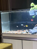 YEE南美溪流缸超白玻璃魚(yú)缸客廳家用底濾蘭壽金魚(yú)帶柜子一體缸自循環(huán) 銀拉絲【無(wú)邊框黑膠工藝】不帶燈 【高清玻璃】80*37*120cm/兩門(mén)款 曬單實(shí)拍圖