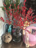 花翁進(jìn)口冬紅果水培鮮切枝花卉綠植 優(yōu)質(zhì)北美冬青40cm/5枝源頭直發(fā) 曬單實(shí)拍圖