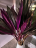 富貴竹紫竹鴻運當頭水培植物粗桿帶根客廳竹子室內好養活花卉 【枝干粗壯】紫竹65-75cm10棵送營(yíng)養液【居家 不含盆 曬單實(shí)拍圖