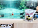日清丸紅飼料孔雀魚(yú)燈魚(yú)金魚(yú)蘭壽慈鯛斗魚(yú)異形中小型觀(guān)賞魚(yú)羅漢日本品牌魚(yú)糧 日清丸紅EP2 一斤 曬單實(shí)拍圖