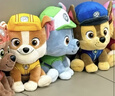汪汪隊立大功（PAW PATROL）狗狗巡邏隊毛絨玩具男女孩可愛(ài)小狗玩偶公仔兒童節禮品生日禮物 汪汪隊毛絨-15-18cm小號小力 cm 曬單實(shí)拍圖