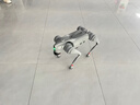 宇樹(shù)（Unitree）Go2 Air+遙控器版本 機器狗 AI大模型 四足機器人 仿生陪伴機器人 具身智能  電子寵物 高端禮物 曬單實(shí)拍圖