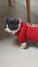 新年喜慶貓咪寵物衣服加絨保暖狗狗衣服布偶小型犬拜年服貓狗通用 紅色加絨【招財】 M【建議4-6斤】 曬單實(shí)拍圖