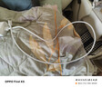 OPPO原裝67W充電線(xiàn)充電器Reno11數據線(xiàn)超級閃充套裝快充 適配Reno9 Pro/Findn32/K10x/A12Pro/pad2專(zhuān)用 oppo原裝67W充電套裝 【OPPO官方盒裝】 曬單實(shí)拍圖