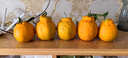 生活＆好管家 四川春見(jiàn)耙耙柑新鮮水果應季橘子現摘孕婦水果整箱桔子橘子 精品級商超果 4.5-5斤【單果70-75mm】?jì)糁?.5斤 曬單實(shí)拍圖