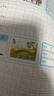 幼兒園描紅本3-4-5-6歲拼音漢字英語(yǔ)字母偏旁部首筆順涂色10-20-50-100以?xún)燃訙p法小班中班大班初學(xué)者兒童鉛筆練字貼全套幼小銜接 筆畫(huà)筆順描紅 每本32頁(yè)彩色版 曬單實(shí)拍圖