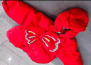 巴拉巴拉童裝兒童羽絨服女童2025新款紅色拜年服寶寶女寶保暖春裝國風(fēng)外套 曬單實(shí)拍圖