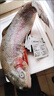 【整條新疆三文魚(yú)】冰鮮三文魚(yú)即食去內臟可開(kāi)片新鮮日料壽司中段 整條三文魚(yú) 4斤 不開(kāi)片 送蘸料 曬單實(shí)拍圖