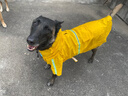 COCS狗狗雨衣中大型犬 寵物雨衣小狗雨衣 邊牧衣服狗狗沖鋒衣雨披全包 黃色 4XL號建議體重48-65斤 曬單實(shí)拍圖