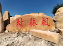 大型景觀(guān)石頭天然風(fēng)景石自然戶(hù)外刻字紅石園林村牌村標石庭院擺件 曬單實(shí)拍圖