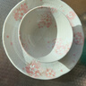 陶趣居日式盤(pán)子日本制造櫻花餐具套裝碗盤(pán)3D櫻花雨面設計陶瓷套裝間取櫻 9.7英寸平盤(pán) 曬單實(shí)拍圖