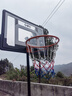 健倫【當/次日達】?jì)和@球架家用戶(hù)外可移動(dòng)升降室內投籃框 新年禮物 曬單實(shí)拍圖