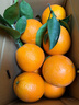 雷波臍橙【順豐】四川大涼山純甜無(wú)酸當季橙子水果 10斤金鉆果  15-18個(gè) 精選果 曬單實(shí)拍圖