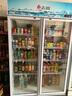 志高展示柜冷藏大容量飲料柜冰柜商用保鮮柜超市玻璃門(mén)冰箱立式啤酒柜 大雙門(mén)上機850L【風(fēng)冷無(wú)霜免倒水】 一級節能省電30% 曬單實(shí)拍圖