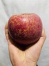 傾睦四川鹽源丑蘋(píng)果【涼山特產(chǎn)】高原冰糖心紅富士脆甜萍平果新鮮水果 凈重2.5-3斤中果【70-75mm】 曬單實(shí)拍圖