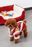 嬉皮狗（hipidog）秋冬季狗狗衣服新年保暖國風(fēng)新中式雪尼爾唐裝棉衣裙小型幼犬服飾 國風(fēng)新中式 L（建議體重8-11斤） 曬單實(shí)拍圖
