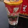 蘭益松 蘭益松子酒云南特產(chǎn)口杯酒云南小酒100ml*12杯松子小杯酒 42度 100mL 1盒 曬單實(shí)拍圖