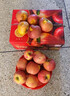 梓樂(lè )果新疆阿克蘇冰糖心蘋(píng)果新鮮應當季水果紅富士脆甜蘋(píng)果年貨節整箱裝 9斤 單果80mm-85mm 精選20年老樹(shù)果 曬單實(shí)拍圖