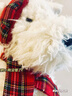 JELLYCAT英國圣誕暖冬西高地狗門(mén)羅蘇格蘭?？蓯?ài)兒童毛絨玩具玩偶 圍巾圣誕西高地 21CM 曬單實(shí)拍圖