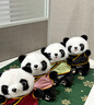 國風(fēng)熊貓玩偶熊貓毛絨玩具仿真熊貓紀念品公仔小熊貓毛絨掛件掛墜 熊貓掛件--粉衣服 15cm掛件 曬單實(shí)拍圖
